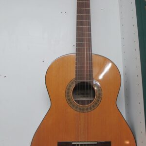 guitarra